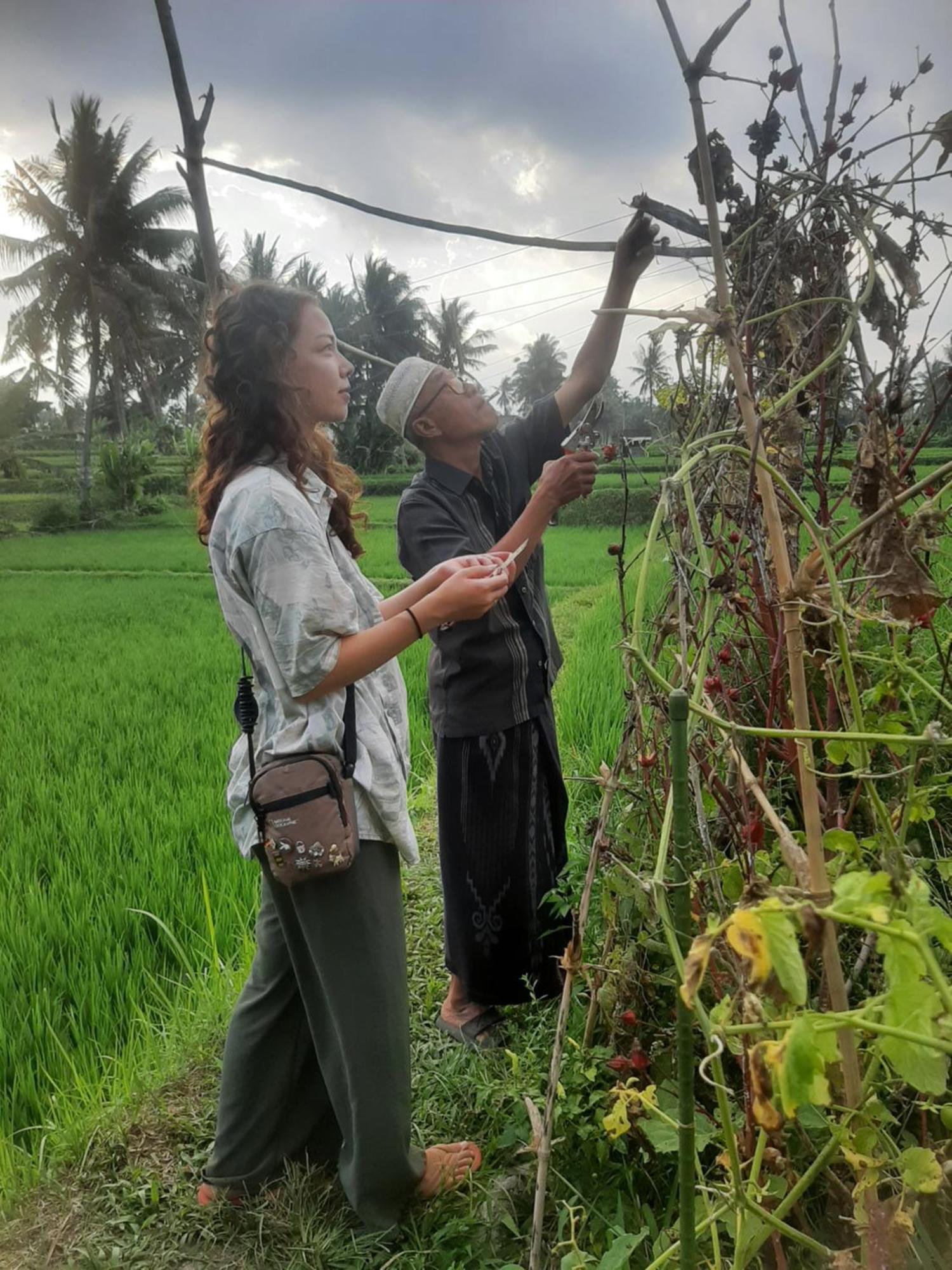 D' Carasti Bungalow Masbagik Luaran gambar