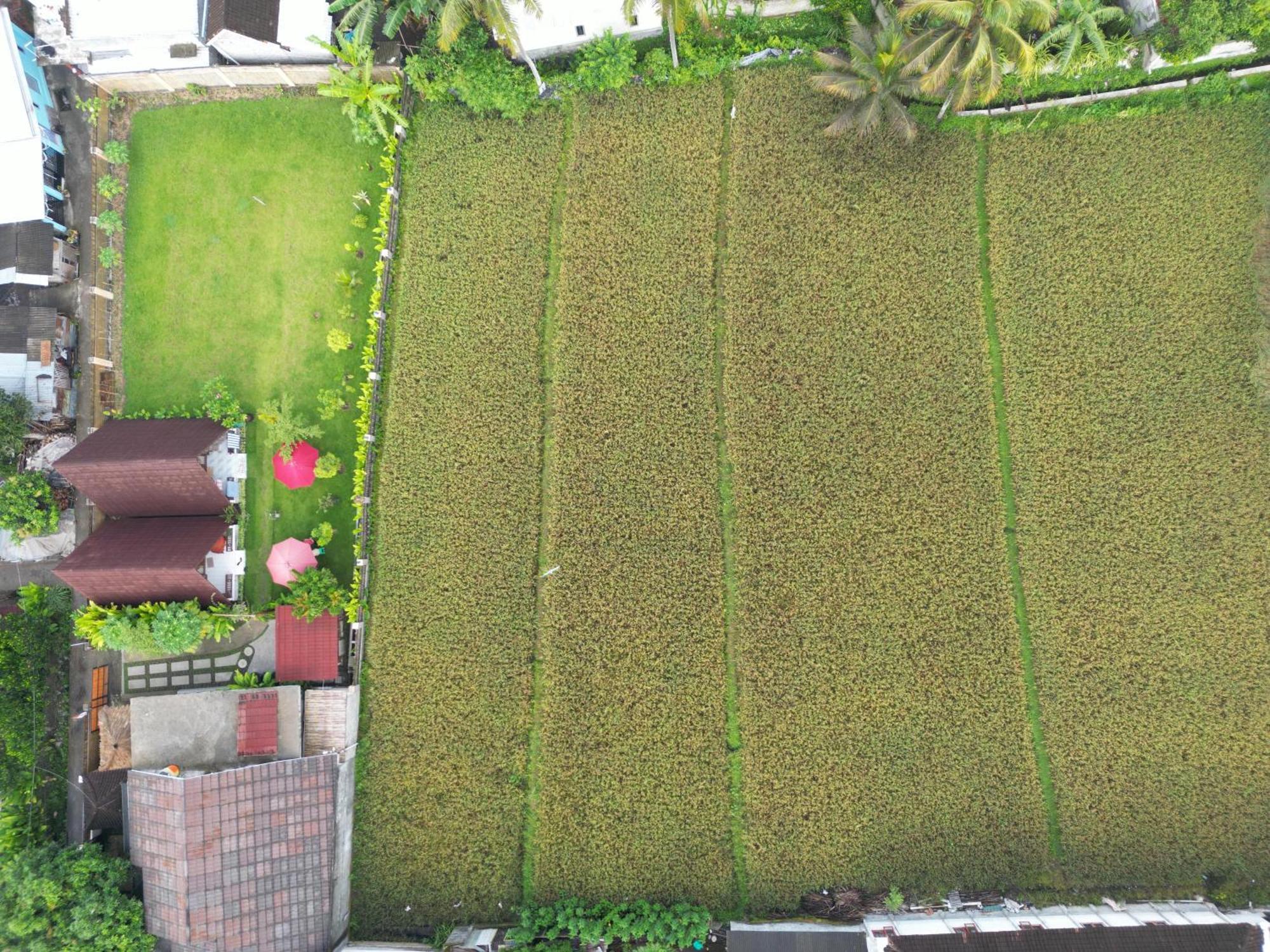 D' Carasti Bungalow Masbagik Luaran gambar